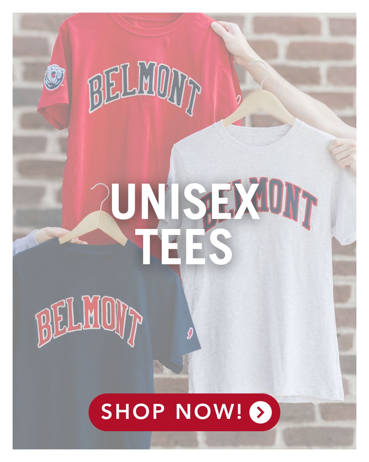 3 classic style BruinShop tee shirts. Click here to shop unisex tees
